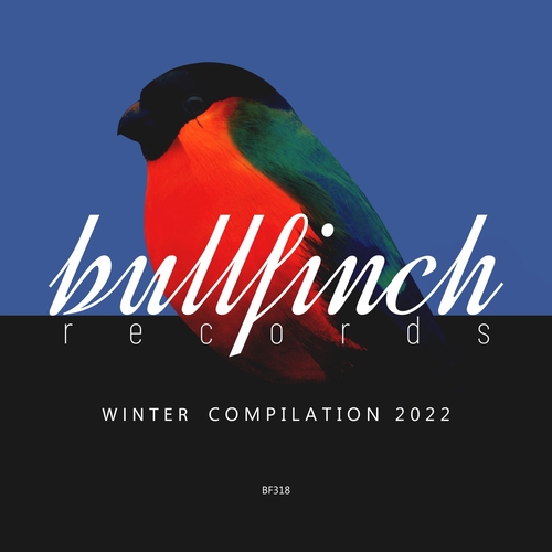 VA - Bullfinch Winter 2022 Compilation [BF318]